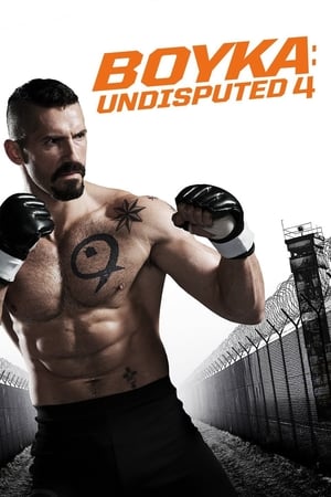 Boy 2019 Movie | Dubbed Hindi Movie HDRip x264 [1GB]